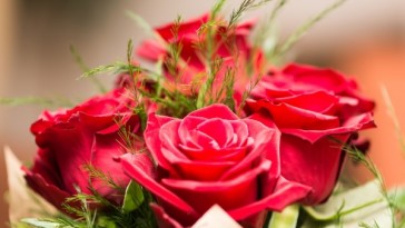 ropa-lenceria-mujer-san-valentin
