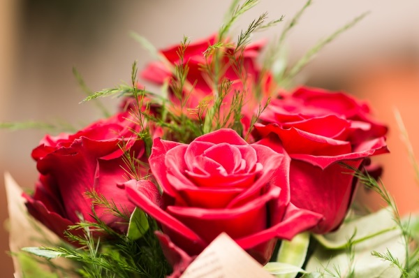 Regalo Del Día De San Valentín Para Una Mujer Amada: La Ropa